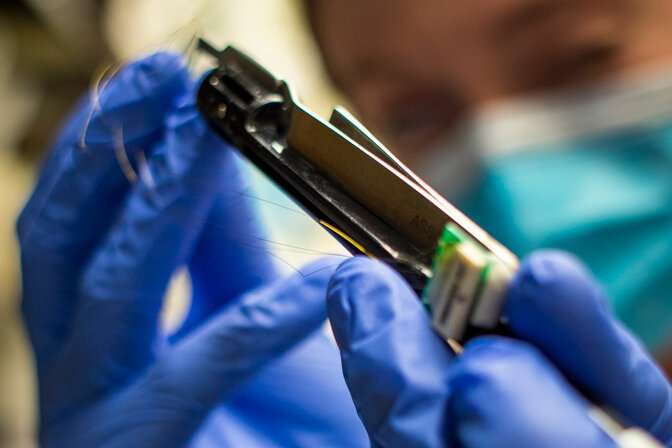 Discovery Could Lead To Advances In Prostheses